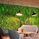 Ever Gruen Inkl Zell Am See-kaprun Sommerkarte 4*
