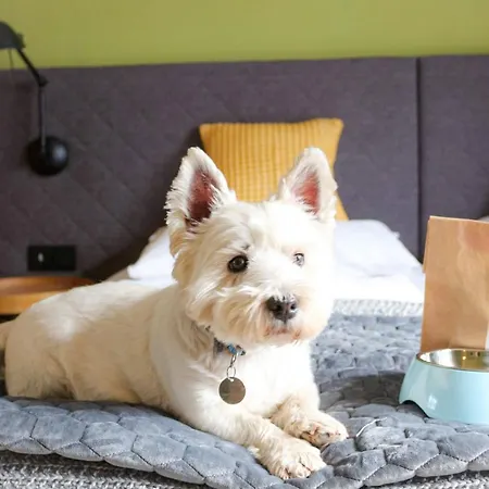 Ever Gruen Hotel Kaprun