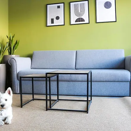 Ever Gruen فندق 4*