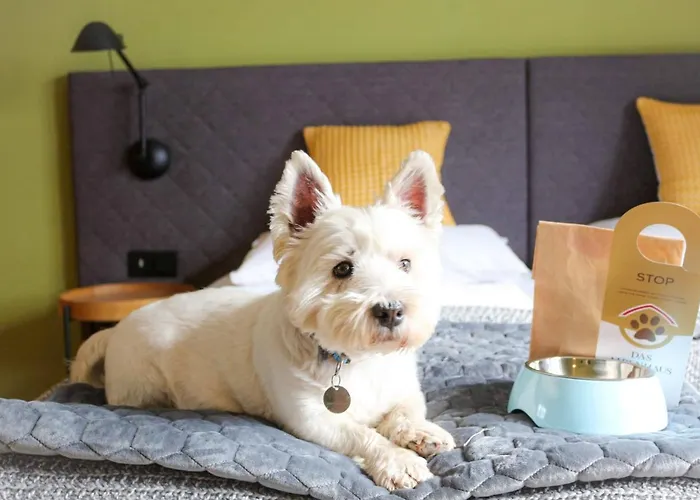 Ever Gruen מלון קפרון