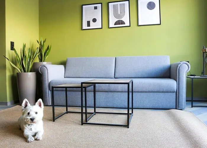 Ever Gruen מלון 4*